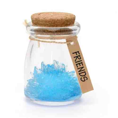 Floare din cristale albastre - Friends