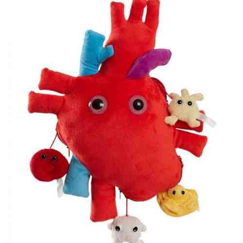 Inima XL cu mini-celule