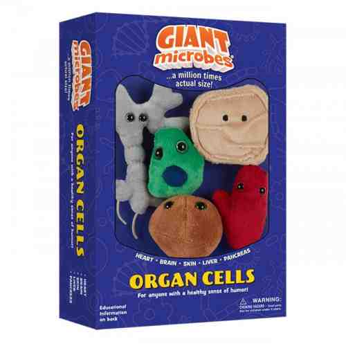 Pachet cu 5 mini-celule organice