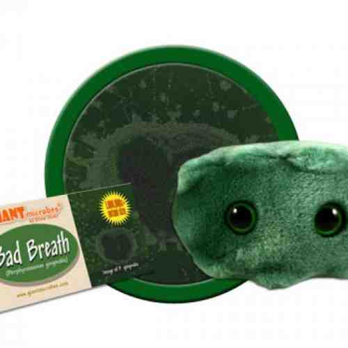 Respiratia urat mirositoare