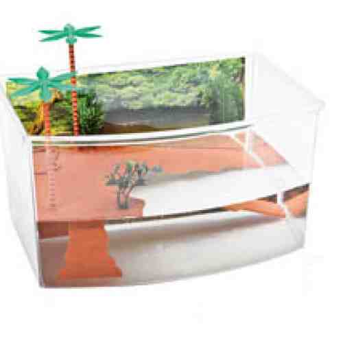 Bazin pentru broaste testoase 27x19x15cm