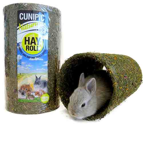 Cunipic Tunel din Fan S