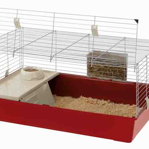 Cusca Iepuri Rabbit 100