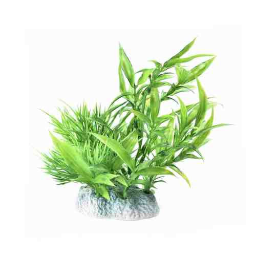 Decor Planta Acvariu Japan