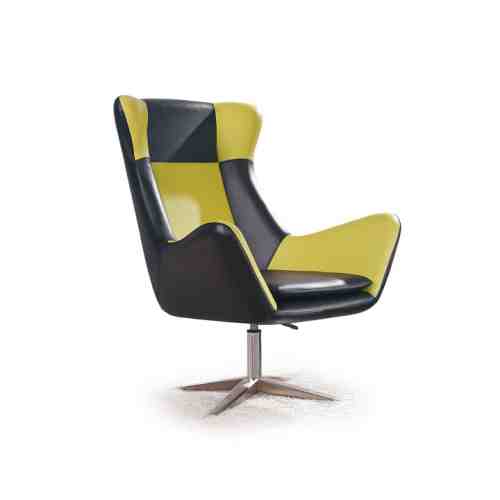 Fotoliu Atlas bicolor