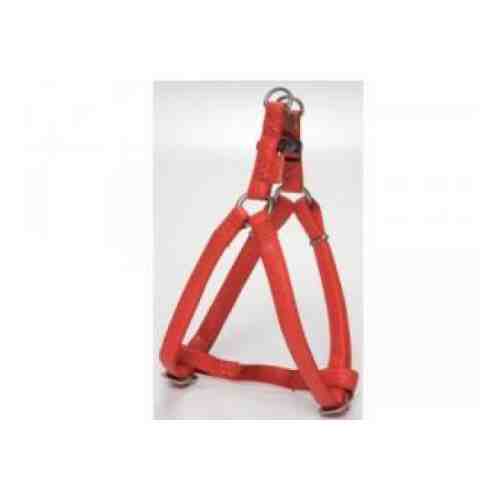 Ham caini Macleather Rosu 20 mm