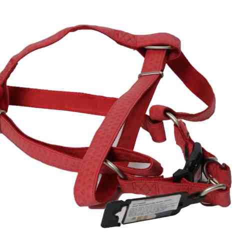 Ham Caini Macleather Rosu 25 mm