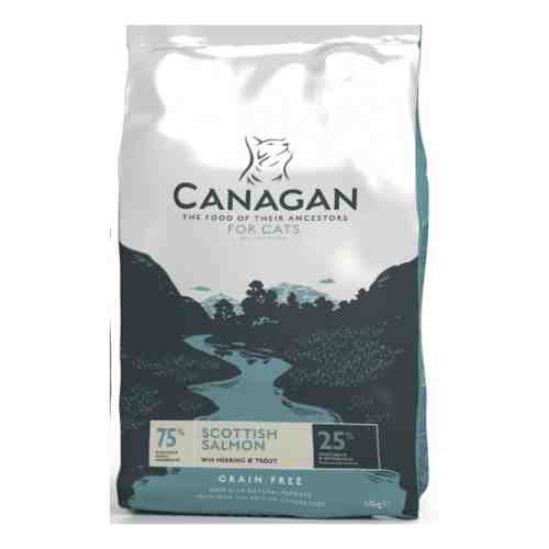 Hrana uscata pentru pisici Canagan cu somon 375 g