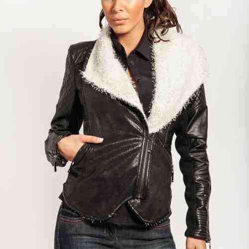 Jacheta Dalma Neagra