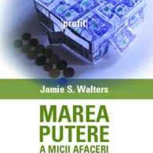 Marea putere a micii afaceri - Jamie S. Walters