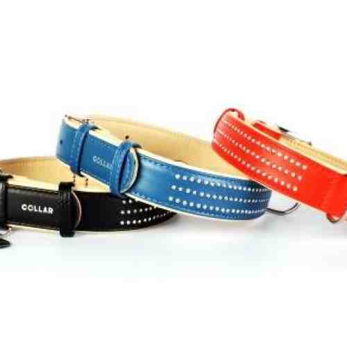 Zgarda albastra din piele Collar cu cristale mici 46-60 cm