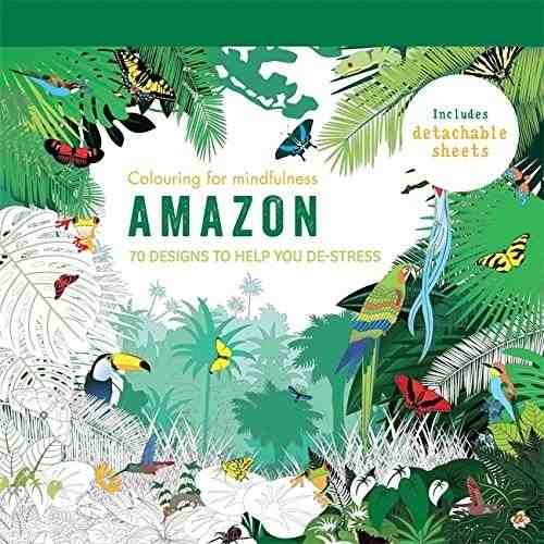 Amazon: 70 designs to help you de-stress | Hamlyn