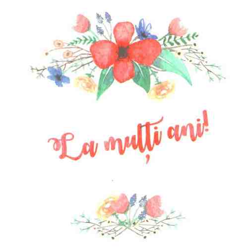 Felicitare - La multi ani | Mink