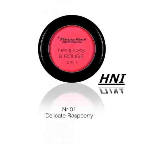 Luciu de buze si ruj 2 in 1 nr 01 delicate raspberry pierre rene