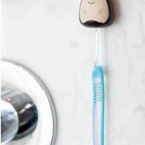 Suport pentru periuta de dinti - Hedgehog | Kikkerland