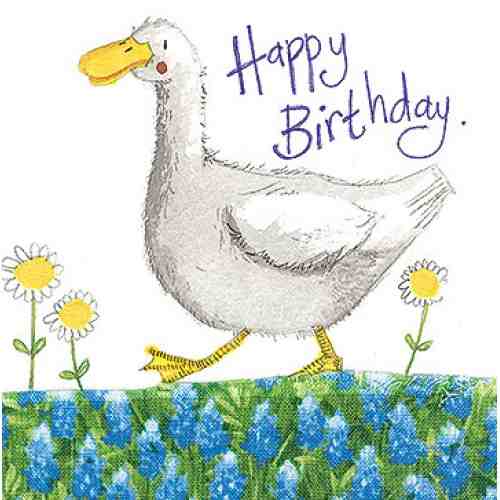 Felicitare - Duck and daisies |  Alex Clark