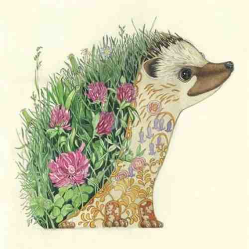Felicitare - Hedgehog | The DM Collection