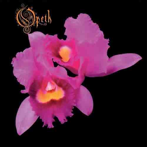 Orchid | Opeth