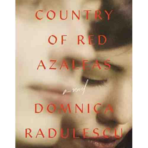 Country of Red Azaleas | Domnica Radulescu