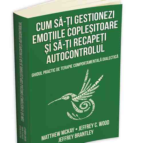 Cum sa-ti gestionezi emotiile coplesitoare si sa-ti recapeti autocontrolul | Matthew McKay, Jeffrey Brantley, Jeffrey C. Wood
