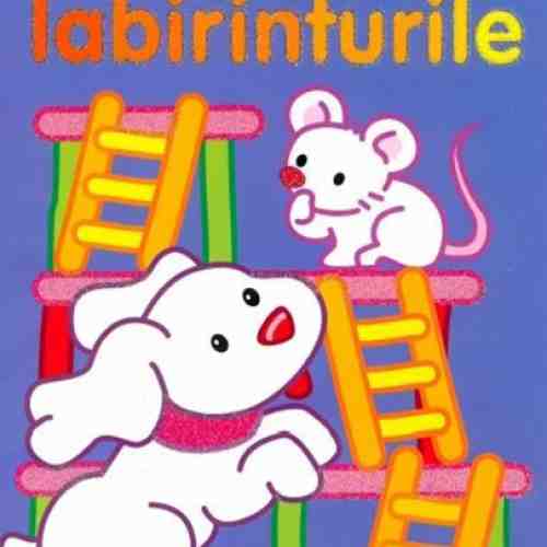 Activitati - Rezolva labirinturile |