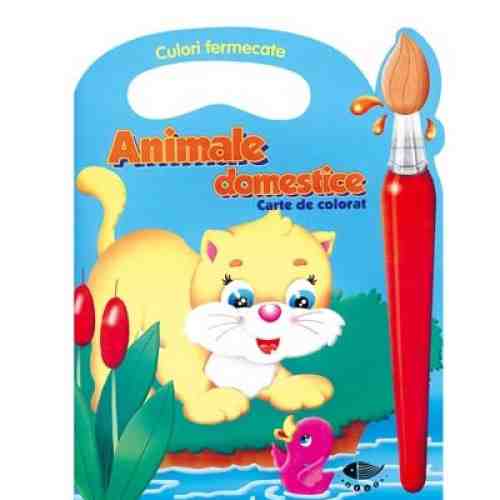 Animale Domestice - Culori Fermecate |