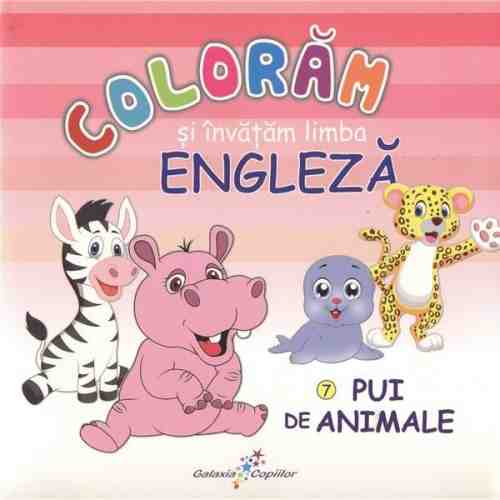 Coloram si invatam limba engleza 7 | Roxana Geanta