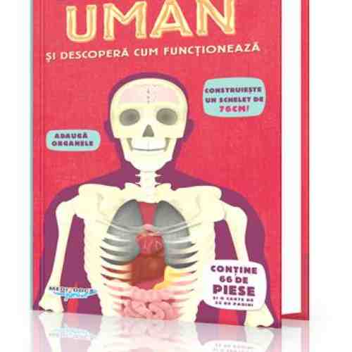 Construieste corpul uman si descopera cum functioneaza |