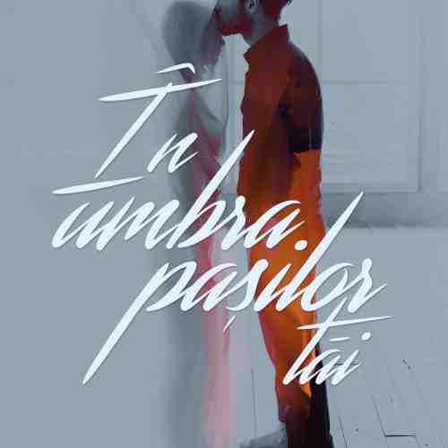 In umbra pasilor tai | Vitali Cipileaga