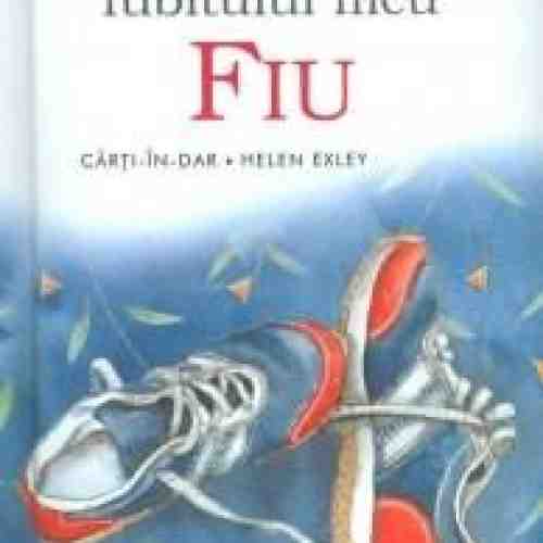 Iubitului meu fiu | helen exley