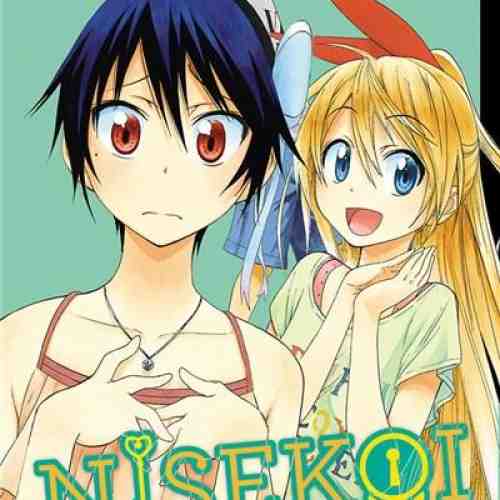 Nisekoi: False Love Vol. 4 - Making Sure | Naoshi Komi