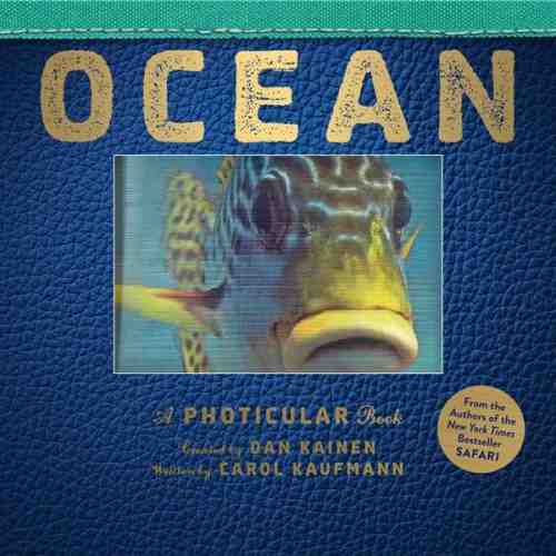 Ocean - A Photicular Book | Carol Kaufmann
