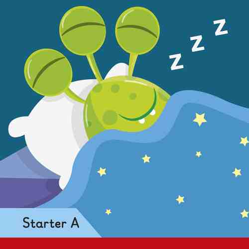 Ted in Bed |