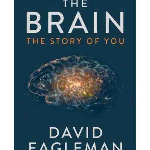 The Brain - The Story of You | David Eagleman