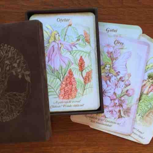 Arbori sacri, mesaje magice - carti oracol | Diana d'Briac