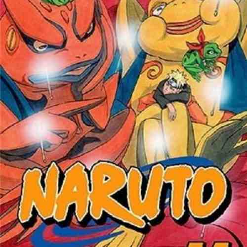 Naruto Vol. 44 - Senjutsu Heir | Masashi Kishimoto