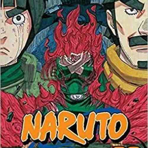 Naruto, Vol. 69 | Masashi Kishimoto