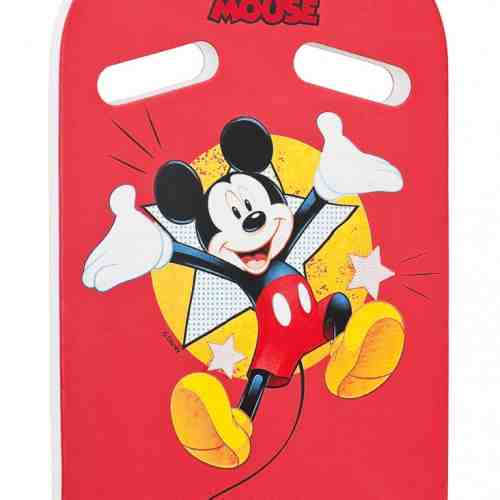 Placa inot Mickey