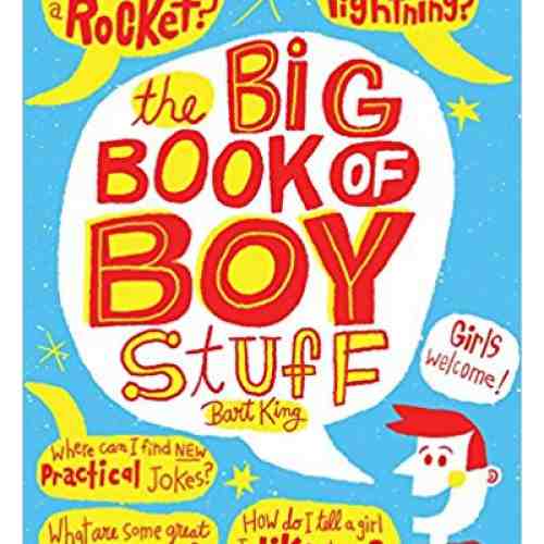The Big Book of Boy Stuff, Updated | Bart King