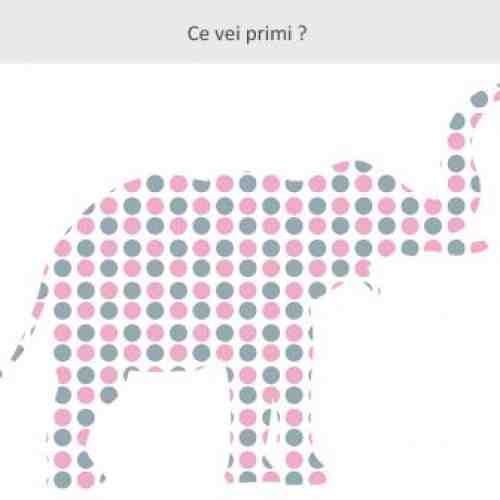 Sticker decorativ Giant Elephant pentru fetite 121 x 96 cm