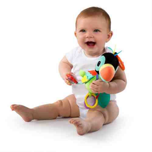 Jucarie senzoriala Pasarea Vesela