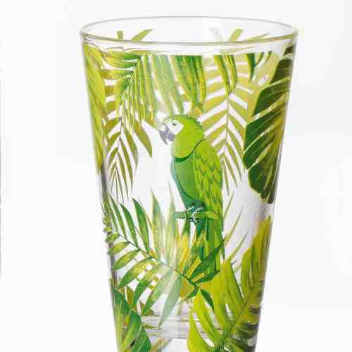 Set pahare Long Drink Jungle, Green Parrot, 310 ml, 6 piese