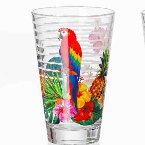 Set pahare Long Drink Jungle, Parrot, 310 ml, 6 piese
