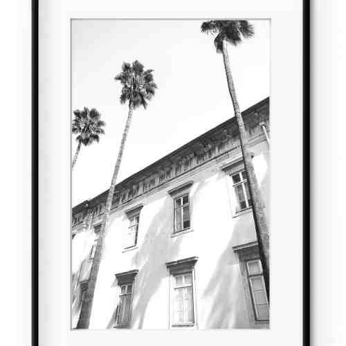 Tablou Architectural Palm Trees Aluminium Noir