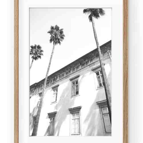 Tablou Architectural Palm Trees Oak