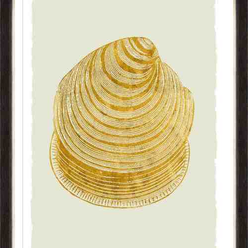 Tablou Framed Art Golden Seashell IV