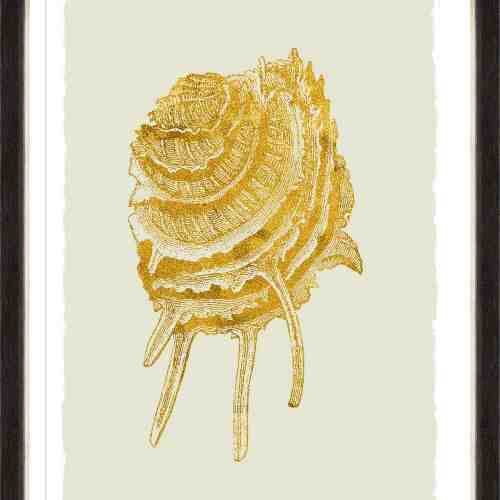Tablou Framed Art Golden Seashell V