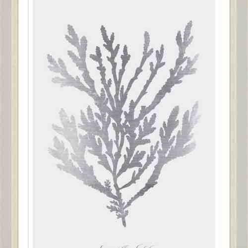 Tablou Framed Art Silver Coral V