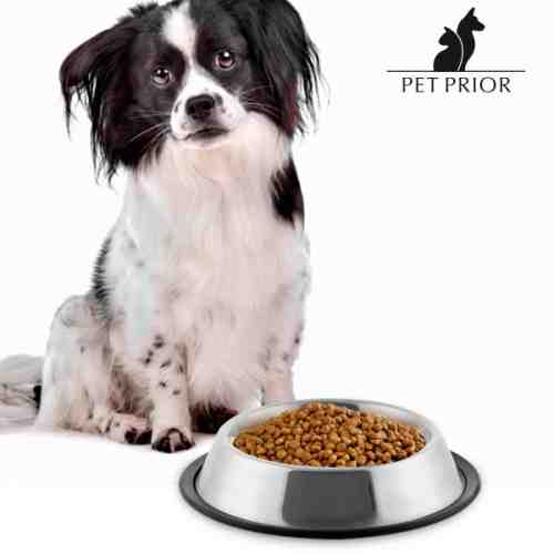Castron de Hrană pentru Câini Pet Prior