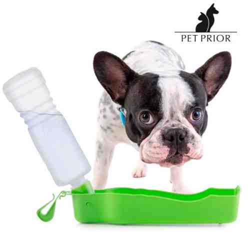 Castron pentru Apă Portabil cu Sticlă pentru Animale de Companie Pet Prior
